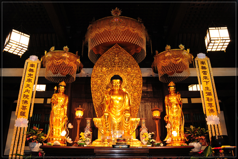 lorem ipsum dolor sit